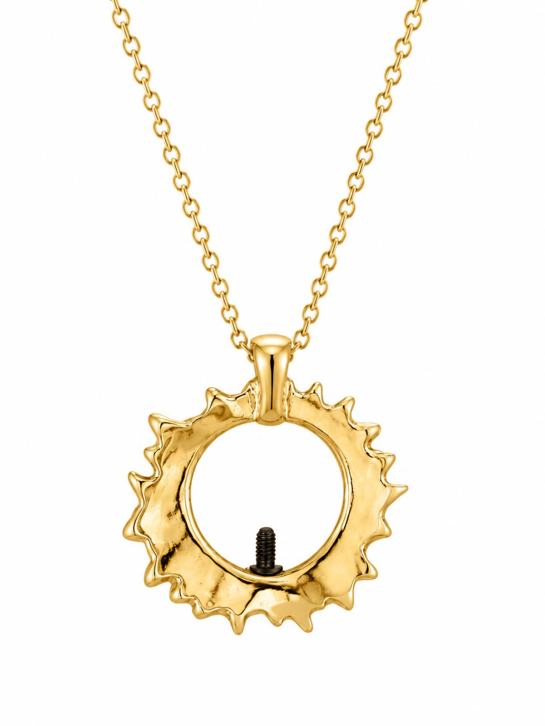 Collar Intercambiable: Bolas